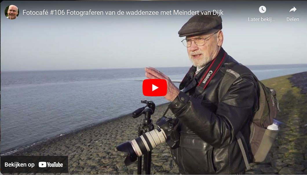 Afbeelding van videoportret van Meindert van Dijk