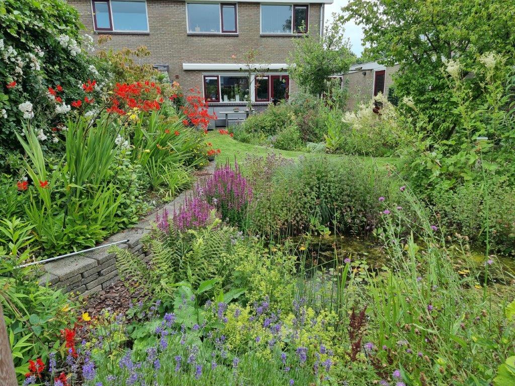 Foto van achtertuin van Meindert van Dijk
