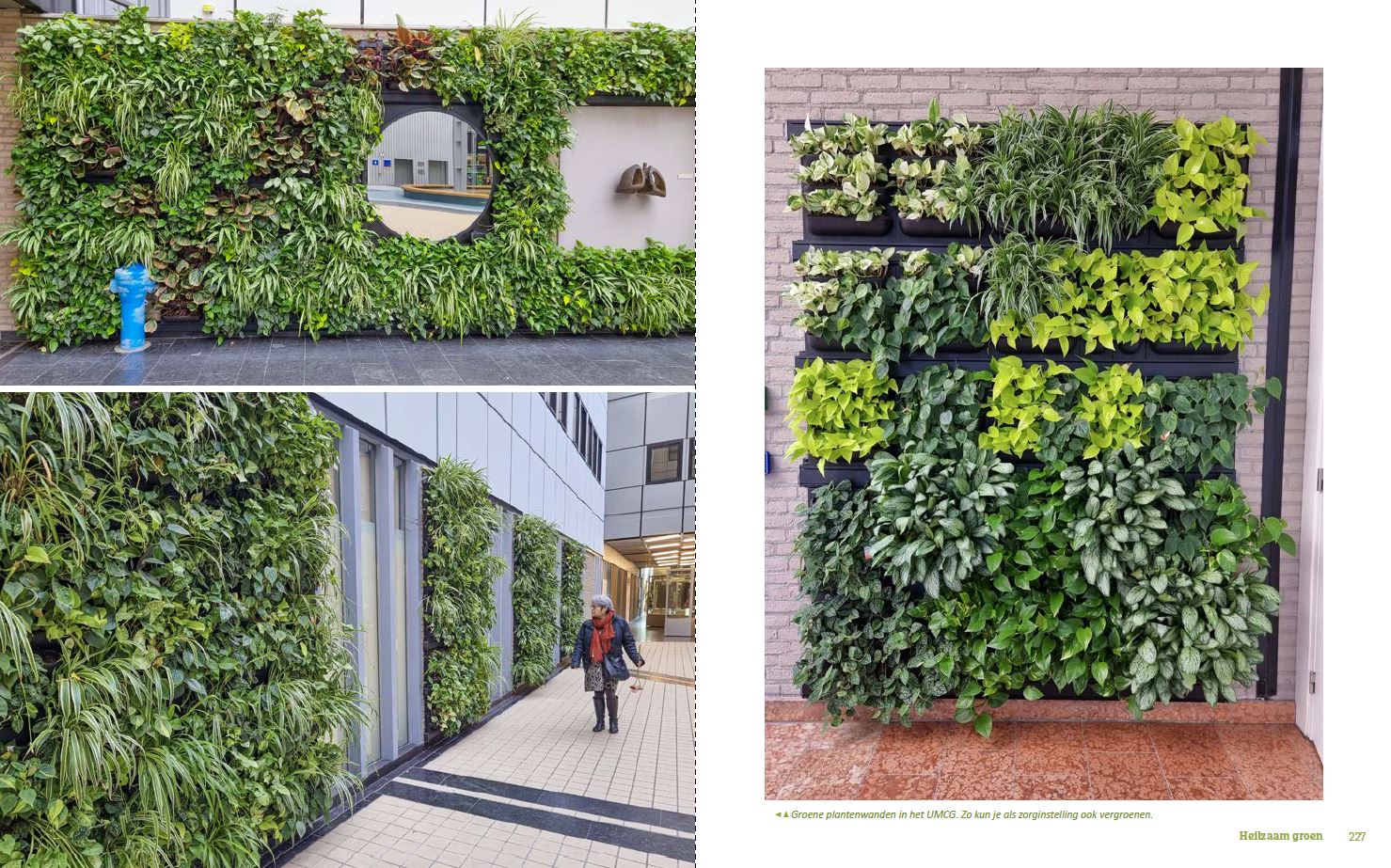 Plantenwanden in de Fonteinstraat bij UMCG Groningen